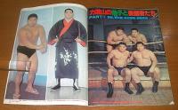 プロレスアルバム⑥　『力道山 光浩』　我らがスーパースター　(ジャンボ・ポスター付き)