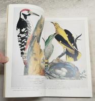 リンネと博物学 : 自然誌科学の源流 平成6年度特別展図録