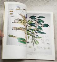 リンネと博物学 : 自然誌科学の源流 平成6年度特別展図録