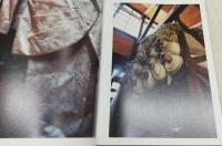 石内都:絹の夢 = Ishiuchi Miyako:From Cocoons