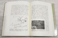 魏志倭人伝正義 : 倭国土佐説