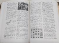 縄文時代研究事典