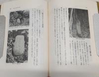 性神の謎 : 土にまみれた民衆文化史
