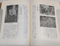 性神の謎 : 土にまみれた民衆文化史