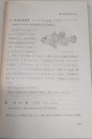 土佐の釣魚とその生態