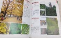 葉・実・樹皮で確実にわかる樹木図鑑