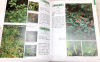 葉・実・樹皮で確実にわかる樹木図鑑
