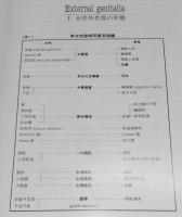 日本女性の外性器 : 統計学的形態論