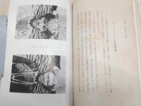 南方文化の探究