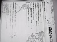 季刊　自然と文化　25　特集・動物霊力