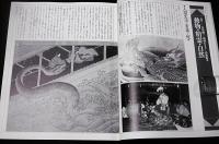 季刊　自然と文化　44　(特集…動物・精霊・自然)