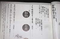 季刊　自然と文化　44　(特集…動物・精霊・自然)