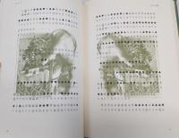 秘文字
