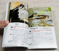 野鳥 : 日本で見られる287種判別のポイント