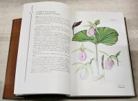 原色日本のラン : 日本ラン科植物図譜