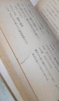 死の灰詩集