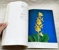 えびね銘花　日本えびね業者組合選抜　1981年　第3巻
