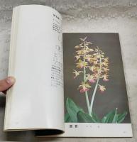 えびね銘花　日本えびね業者組合選抜　1980 第2巻