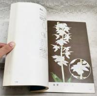 えびね銘花　日本えびね業者組合選抜　1980 第2巻