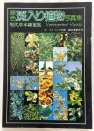 斑入り植物写真集 : 原色 : 現代草木錦葉集