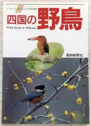四国の野鳥