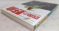 四国の野鳥