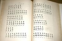 実習梵語学 : 文法・悉曇書法・文抄・字書　(附録・字書付き)