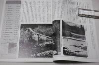 季刊　自然と文化　1984年　夏季号　特集・橋