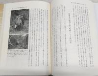 物部の民俗といざなぎ流