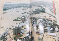 豪雨パニック : '98高知大水害の記録 : 報道写真集