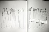 本願寺親鸞聖人伝絵 : 照願寺蔵