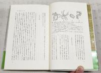 昆虫のフォークロア