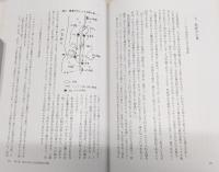 人形道祖神 : 境界神の原像