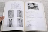 ワラの文化 : 第11回企画展目録