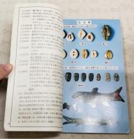 古銭と歴史　還暦記念泉譜　平成十年