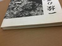 一揆の系譜