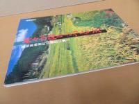 神々が降り立つところ : 高知県梼原町の棚田に集う