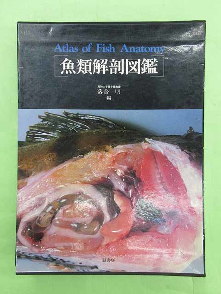 魚類解剖図鑑(落合明編 初版 函少スレ 本は並上 本文良 バインダー式