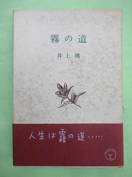 比田井天来臨 孟法師碑(比田井天来 初版 紙ケースヤケ 本は表紙