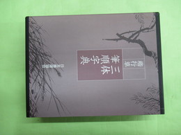楷行草　三体筆順字典