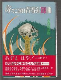 落ちこぼれ青春狂躁曲