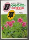 野草　自然の中で楽しむ里・野・林・海岸の野草500選
