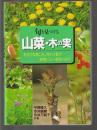 旬を見つける 山菜・木の実
