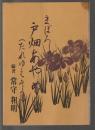 まぼろしの花 戸畑あやめ（たれゆえそう）