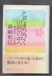 こだまひびく山河の中へ　韓国紀行 八五年春