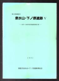 埼玉県朝霞市 泉水山・下ノ原遺跡Ⅴ