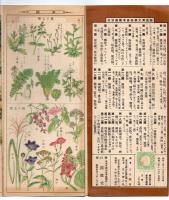 国語漢文学習参考図鑑 全