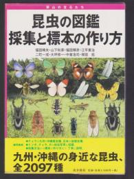 昆虫の図鑑 採集と標本の作り方