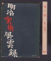 長編小説 焔と氷　明治密偵風雲録