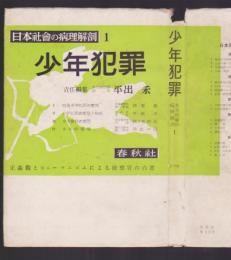 少年犯罪　日本社会の病理解剖1